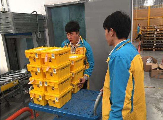 鉛封(fēng) 鉛封